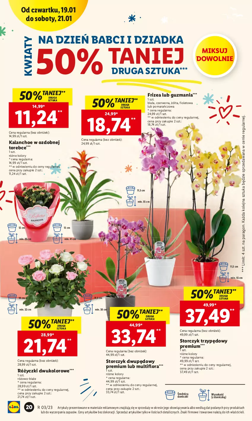 Gazetka promocyjna Lidl - GAZETKA - ważna 19.01 do 21.01.2023 - strona 24 - produkty: Kalanchoe, Olej, Sok, Storczyk