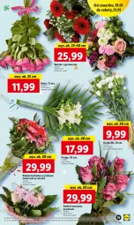 Gazetka promocyjna Lidl - GAZETKA - Gazetka - ważna od 21.01 do 21.01.2023 - strona 23 - produkty: Gerber, Bukiet