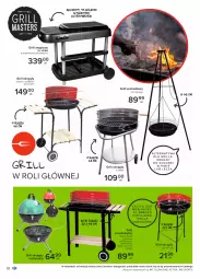 Gazetka promocyjna Carrefour - Gazetka Pyszny świat grilla - Gazetka - ważna od 12.06 do 12.06.2021 - strona 18 - produkty: Por, Tran, Sport, Półka, Wózek, Flora, Grill, Mobil