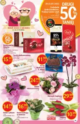 Gazetka promocyjna Delikatesy Centrum - Gazetka DC03 - Gazetka - ważna od 26.01 do 26.01.2022 - strona 19 - produkty: Tulipan, Kret, Storczyk, Bukiet, E. Wedel