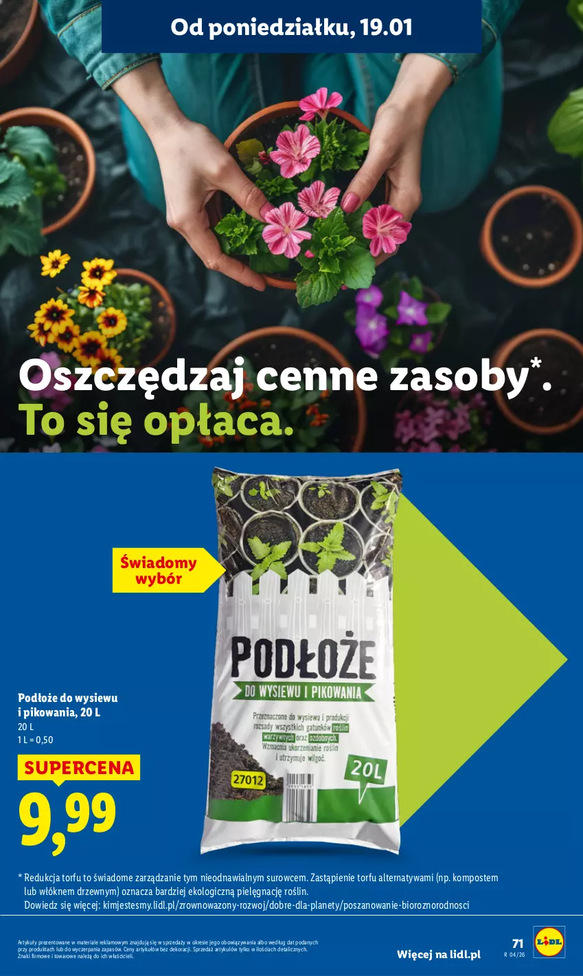 Gazetka promocyjna Lidl - GAZETKA - ważna 19.01 do 21.01.2026 - strona 71 - produkty: Wazon