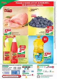 Gazetka promocyjna Dino - Gazetka 31 - Gazetka - ważna od 08.08 do 08.08.2023 - strona 24 - produkty: Sok, Ser, Borówka, Tera, Szynka, Oranżada, Hellena, Napój