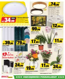 Gazetka promocyjna Bricomarche - Gazetka - Gazetka - ważna od 09.03 do 09.03.2024 - strona 6 - produkty: Plafon, Gra, Zasłona, Storczyk, Firana, Bukiet, Obraz, Podkład