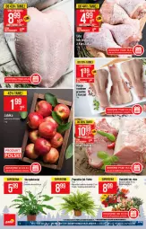 Gazetka promocyjna PoloMarket - Gazetka pomocyjna - Gazetka - ważna od 23.11 do 23.11.2021 - strona 6 - produkty: Bukiet, Jabłka