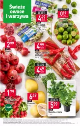 Gazetka promocyjna Stokrotka - Market - Gazetka - ważna od 03.01 do 03.01.2024 - strona 7 - produkty: Warzywa, Gra, Papryka słodka, Papryka, Granat, Rukola, Sałat, Pomelo, Limonka, Bazyl, Owoce, Bazylia, Rzodkiewka, Mięta, Mięso