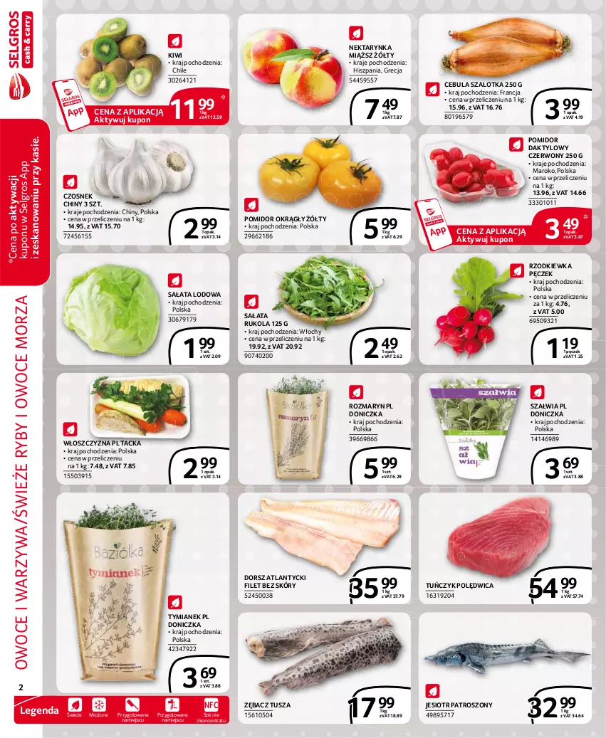 Gazetka promocyjna Selgros - Extra Oferta - ważna 01.07 do 31.07.2021 - strona 2 - produkty: Cebula, Cebula szalotka, Czosnek, Dorsz, Kiwi, LG, Nektar, Nektarynka, Owoce, Owoce morza, Polędwica, Rukola, Ryby i owoce morza, Rzodkiewka, Sałat, Sałata lodowa, Sok, Szal, Tuńczyk, Tusz, Warzywa