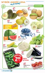 Gazetka promocyjna E Leclerc - Gazetka - ważna od 05.08 do 05.08.2023 - strona 6 - produkty: Borówka, Borówka amerykańska, Grunt, Pomidory, Melon, Kukurydza