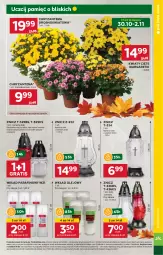 Gazetka promocyjna Stokrotka - Supermarket - Gazetka - ważna od 06.11 do 06.11.2024 - strona 7 - produkty: Gra, Kwiaty cięte, Chryzantema, Znicz, Olej, Wkład olejowy, HP
