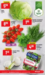 Gazetka promocyjna PoloMarket - Gazetka pomocyjna - Gazetka - ważna od 04.04 do 04.04.2023 - strona 9 - produkty: Czosnek, Sałat, Pomidory