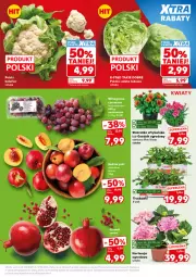 Gazetka promocyjna Kaufland - Mocny Start - Gazetka - ważna od 10.06 do 10.06.2026 - strona 5 - produkty: Kalafior, Gra, Sałata lodowa, Granat, Sałat, Winogrona, Wino, Nektar