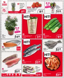Gazetka promocyjna Selgros - Extra Oferta - Gazetka - ważna od 31.03 do 31.03.2022 - strona 4 - produkty: Halibut, Sok, Pstrąg tęczowy, Kolendra, Róża, Ananas, Tusz, Bukiet, Pstrąg, Krewetki