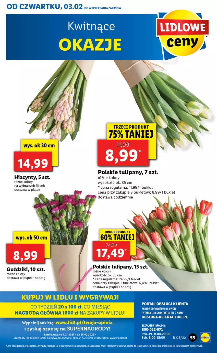 Gazetka promocyjna Lidl - GAZETKA - ważna 03.02 do 05.02.2022 - strona 55 - produkty: Bukiet, Gry, Hiacynt, Mola, Por, Portal, Sok, Tulipan