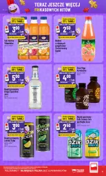 Gazetka promocyjna PoloMarket - Katalog Frikasy 15.07 - Gazetka - ważna od 21.07 do 21.07.2026 - strona 9 - produkty: Sok, Ser, Gin, Inka, Clin, Tera, Napój gazowany, Napój, Ogród, Nektar, Hortex, LG, Fa
