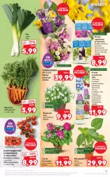 Gazetka promocyjna Kaufland - OFERTA TYGODNIA - Gazetka - ważna od 06.04 do 06.04.2022 - strona 15 - produkty: Por, Borówka, Hibiskus, Róża, Dzwonek, Stek, Tera, Aronia, Bukiet, Dereń, Grunt, Gres, Pomidory