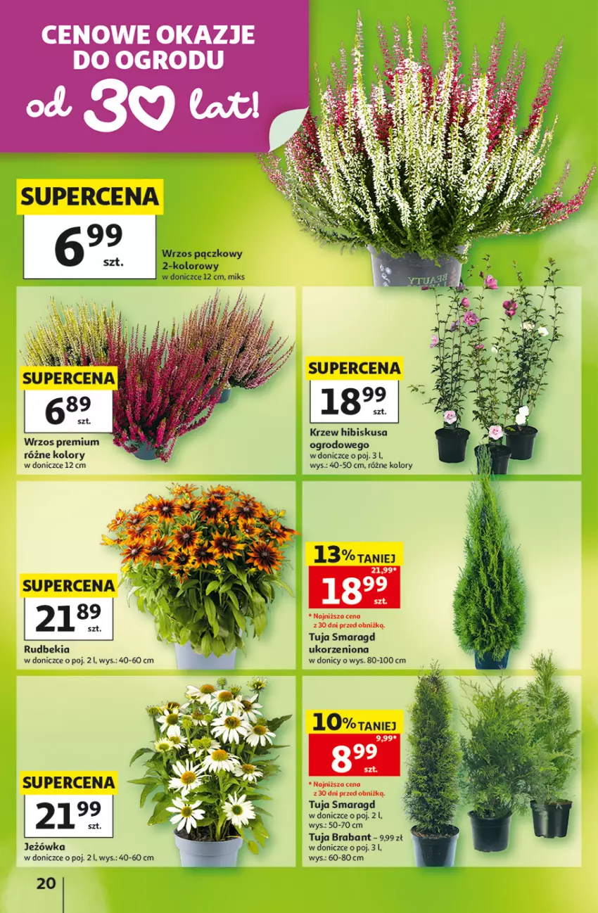 Gazetka promocyjna Auchan - 30 Lat Hipermarket - ważna 27.08 do 02.09.2026 - strona 20 - produkty: Hibiskus
