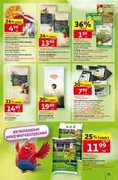 Gazetka promocyjna Auchan - 30 Lat Hipermarket - Gazetka - ważna od 02.09 do 02.09.2026 - strona 21 - produkty: Cebula, Kora ogrodowa, Czosnek, Kiełki, Harnaś