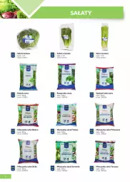 Gazetka promocyjna Makro - [Oferta specjalna] Katalog produktowy 2021 - Gazetka - ważna od 31.12 do 31.12.2021 - strona 6 - produkty: Roszponka, Sałata lodowa, Rukola, Primavera, Sałat, Prima, Seler naciowy, Mieszanka sałat, Szpinak