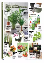 Gazetka promocyjna Carrefour - Gazetka Mieszkaj przytulnie i miło - Gazetka - ważna od 30.01 do 30.01.2022 - strona 26 - produkty: Top, Gin, Tulipan, Palma, Storczyk, Bukiet, Nawóz, Ogród, Osłonka
