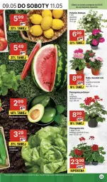 Gazetka promocyjna Delikatesy Centrum - NOWA GAZETKA Delikatesy Centrum od 9 maja! 9-15.05.2024 - Gazetka - ważna od 15.05 do 15.05.2024 - strona 23 - produkty: Sałata masłowa, Cytryny, Sałat, Masło