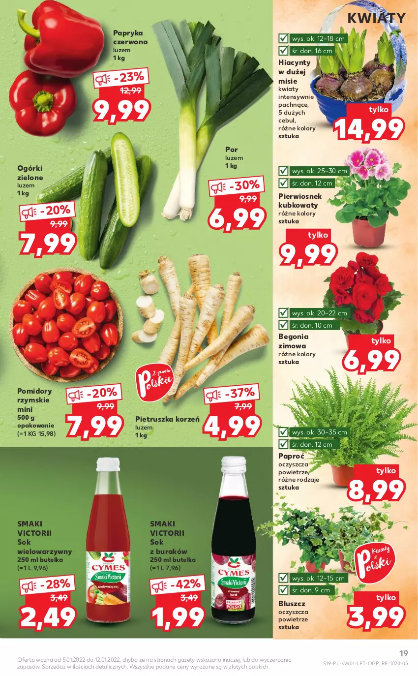 Gazetka promocyjna Kaufland - OFERTA TYGODNIA - ważna 05.01 do 12.01.2022 - strona 19 - produkty: Hiacynt, Papryka, Papryka czerwona, Pietruszka, Pomidory, Por, Sok