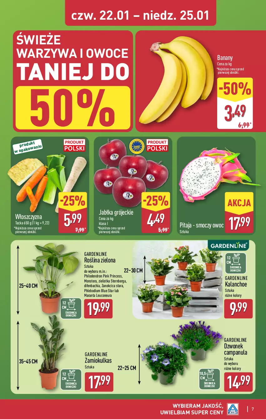 Gazetka promocyjna Aldi - Oferta weekendowa - ważna 22.01 do 25.01.2026 - strona 7 - produkty: Banany, Campanula, Chia, Dzwonek, Jabłka, Kalanchoe, NBA, Owoce, Tera, Warzywa, Warzywa i owoce