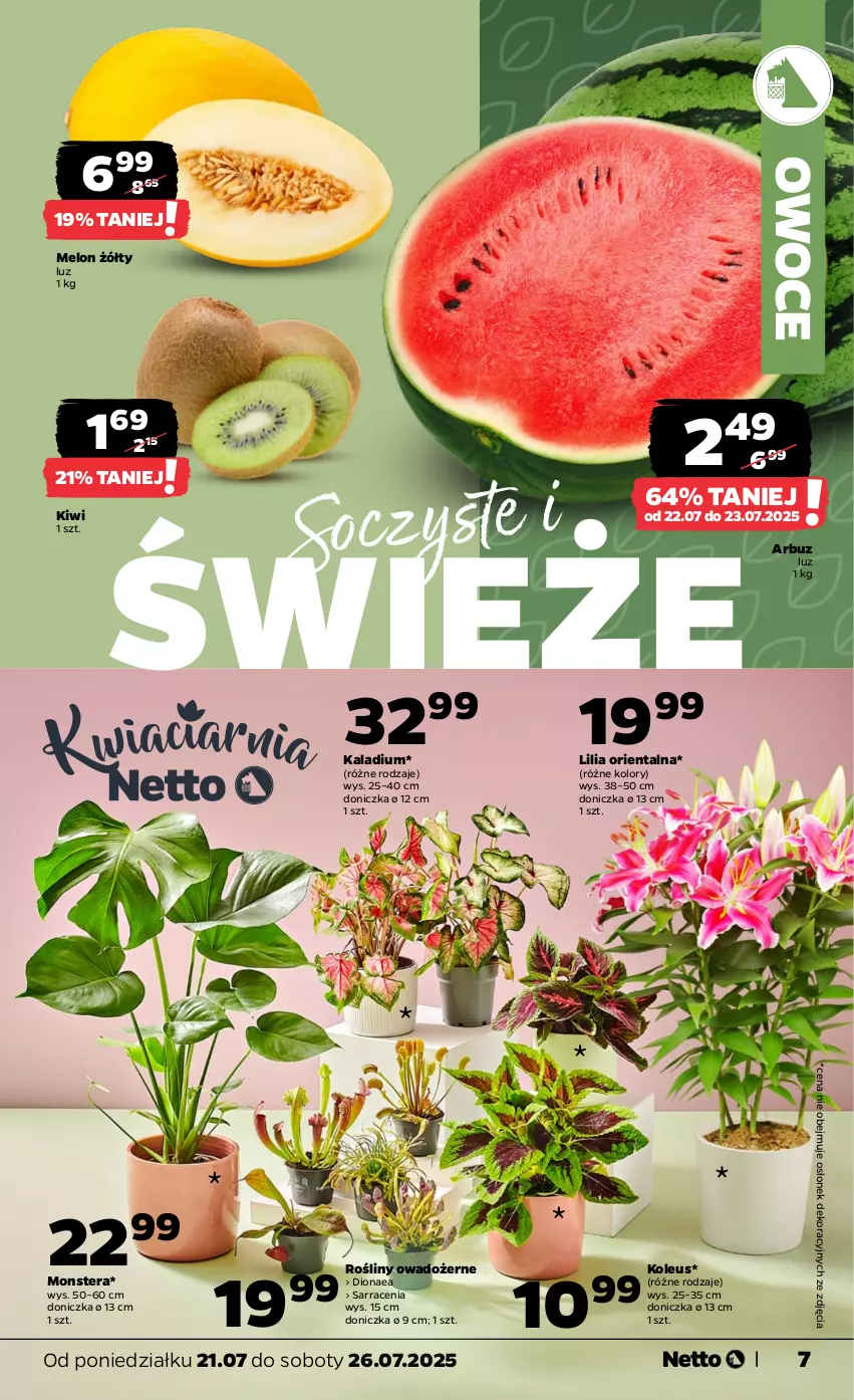 Gazetka promocyjna Netto - Od Poniedziałku - ważna 21.07 do 26.07.2025 - strona 7 - produkty: Arbuz, Kiwi, Melon, Owoce, Tera