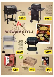 Gazetka promocyjna Carrefour - Gazetka Grillowe klasyki gatunku - Gazetka - ważna od 18.06 do 18.06.2022 - strona 19 - produkty: Sok, Palenisko, Węgiel drzewny, Wózek, Waga, Grill, Grill gazowy, Fa