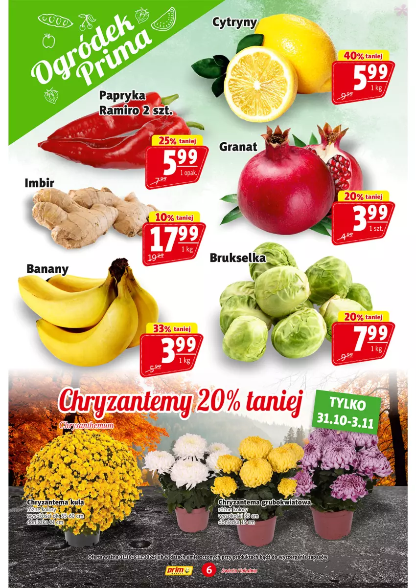 Gazetka promocyjna Prim Market - ważna 31.10 do 06.11.2024 - strona 6 - produkty: Chryzantema, Gra, Granat, Sok