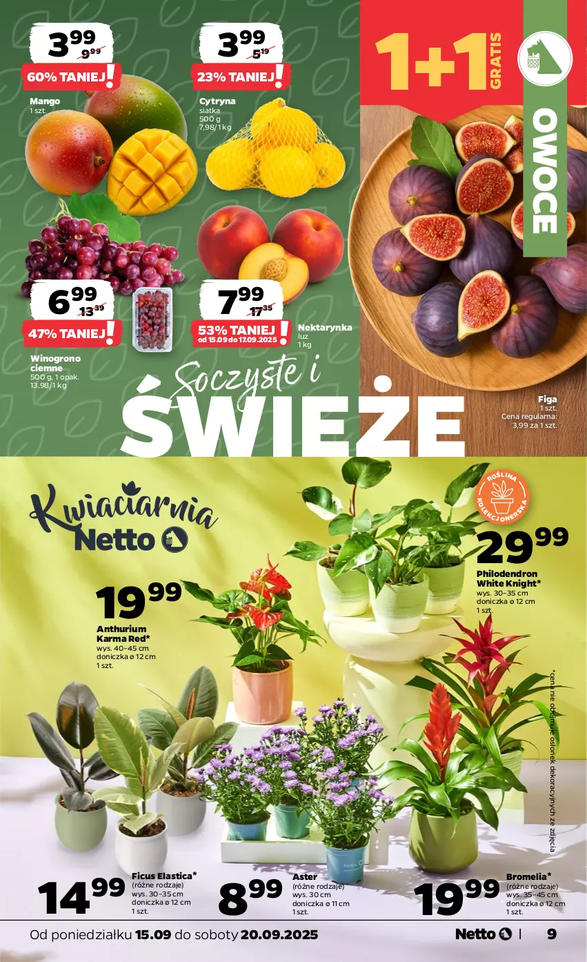 Gazetka promocyjna Netto - Od Poniedziałku - ważna 15.09 do 20.09.2025 - strona 9 - produkty: Bromelia, Gra, Mango, Nektar, Nektarynka, Owoce, Siatka, Wino