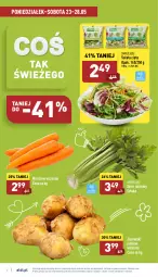 Gazetka promocyjna Aldi - Katalog spożywczy - Gazetka - ważna od 28.05 do 28.05.2022 - strona 2 - produkty: Ziemniaki, Sałat, Seler naciowy