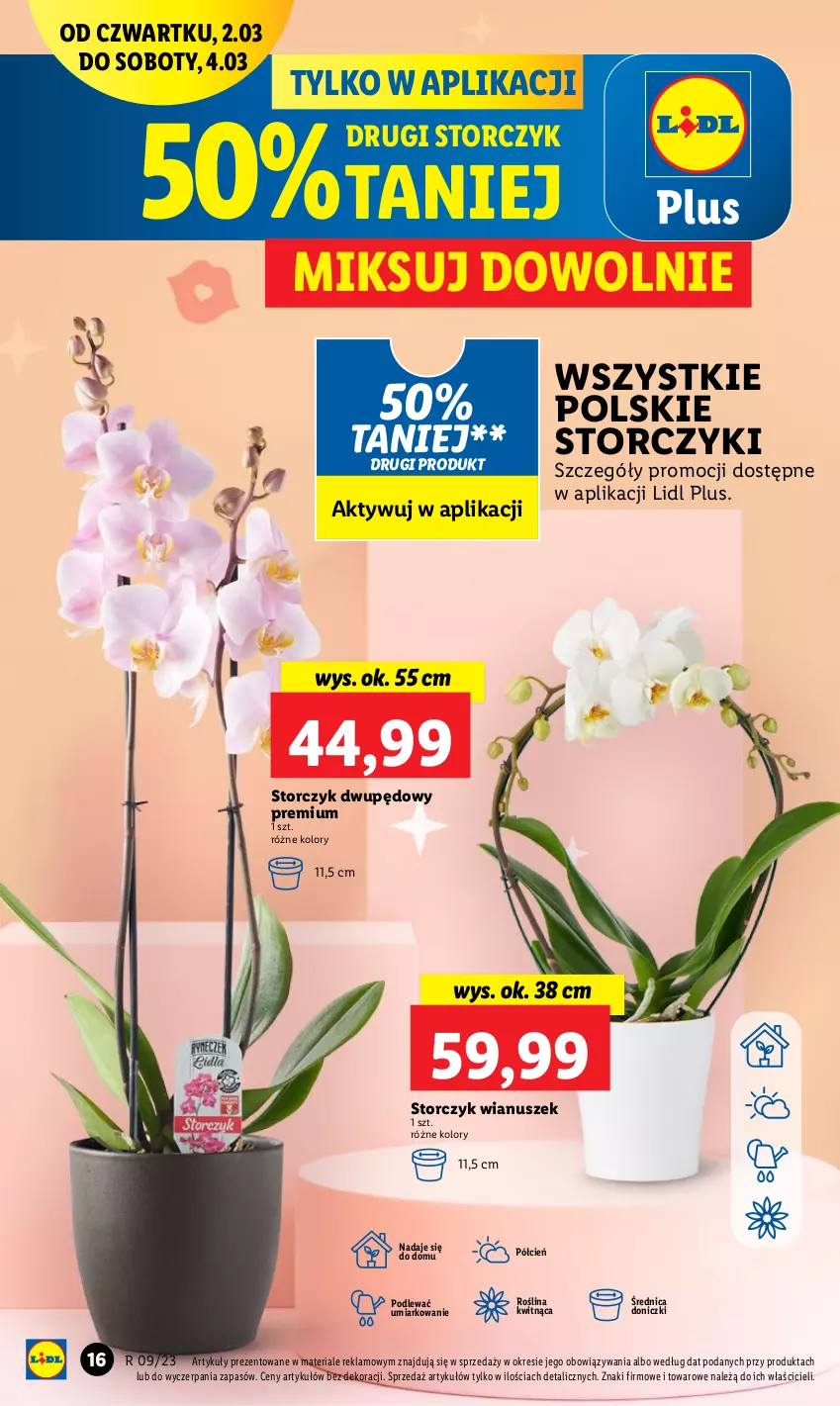 Gazetka promocyjna Lidl - GAZETKA - ważna 02.03 do 04.03.2023 - strona 18 - produkty: Cień, Storczyk