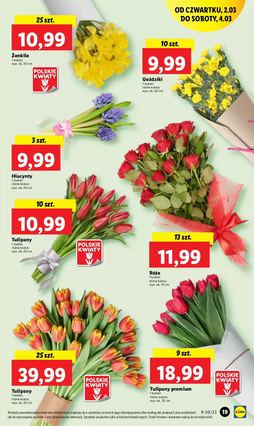 Gazetka promocyjna Lidl - GAZETKA - ważna 02.03 do 04.03.2023 - strona 21 - produkty: Bukiet, Hiacynt, Tulipan