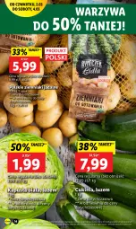 Gazetka promocyjna Lidl - GAZETKA - Gazetka - ważna od 04.03 do 04.03.2023 - strona 16 - produkty: Warzywa, Ziemniaki