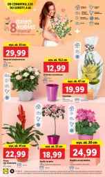 Gazetka promocyjna Lidl - GAZETKA - Gazetka - ważna od 04.03 do 04.03.2023 - strona 20 - produkty: Cień, O nas, Osłonka