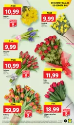 Gazetka promocyjna Lidl - GAZETKA - Gazetka - ważna od 04.03 do 04.03.2023 - strona 21 - produkty: Hiacynt, Tulipan, Bukiet
