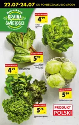 Gazetka promocyjna Biedronka - Od poniedziałku - Gazetka - ważna od 28.07 do 28.07.2024 - strona 18 - produkty: Sałata masłowa, Sałat, Masło, Fa