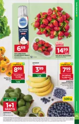 Gazetka promocyjna Stokrotka - Supermarket - Gazetka - ważna od 01.06 do 01.06.2026 - strona 15 - produkty: Banany, Warzywa, Gra, Papryka, Truskawki, Papryka żółta, Optima, Owoce, Mięso