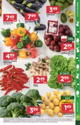 Gazetka promocyjna Stokrotka - Market - Gazetka - ważna od 03.04 do 03.04.2024 - strona 7 - produkty: Warzywa, Papryka słodka, Sałata masłowa, Papryka, Ziemniaki, Sałat, Buraki, Owoce, Masło, Mięso, Imbir