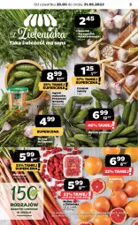 Gazetka promocyjna Netto - Artykuły spożywcze - Gazetka - ważna od 31.05 do 31.05.2023 - strona 3 - produkty: Ogórek, Czosnek, Natka pietruszki, Grunt, Grejpfrut