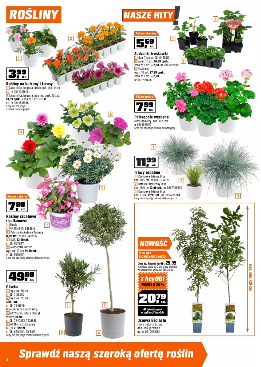Gazetka promocyjna Obi - Gazetka OBI - ważna 07.04 do 21.04.2026 - strona 2 - produkty: Aksam, Kask, Kosz, Laur, Ogród, Palma, Truskawki