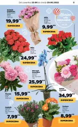 Gazetka promocyjna Netto - Gazetka spożywcza 23.06-29.06 - Gazetka - ważna od 29.06 do 29.06.2022 - strona 5 - produkty: Piwo, Gerber, Róża, Storczyk, Bukiet