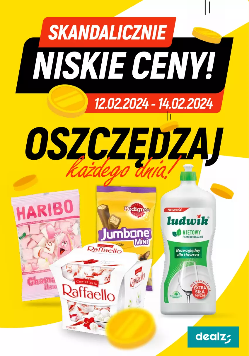 Gazetka promocyjna Dealz - Oszczędzaj każdego dnia! - ważna 12.02 do 14.02.2024 - strona 1