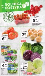 Gazetka promocyjna Intermarche - Gazetka Intermarche - Gazetka - ważna od 25.01 do 25.01.2023 - strona 10 - produkty: Cebula, Sałat, Fa