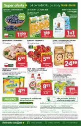 Gazetka promocyjna Stokrotka - Market - Gazetka - ważna od 20.08 do 20.08.2025 - strona 28 - produkty: Piwa, Piwo, Kurczak, Warzywa, Ser, JBL, Gra, Coccolino, Telefon, Papier, Papryka czerwona, Papryka, Kawa, O nas, Dres, Płyn do płukania, Ręcznik, Farm Milk, Torba, Rolki, Skrzydełka z kurczaka, Radler, Foxy, Fairy, Lavazza, Owoce, Wagi, Mięso, Mleko, Fa