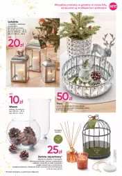 Gazetka promocyjna Pepco - Gazetka P07 Świąteczny sklep - Gazetka - ważna od 17.11 do 17.11.2021 - strona 7 - produkty: Latarnia, O nas, Taca, Wazon, Olej