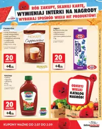 Gazetka promocyjna Intermarche - Katalog nagród Moje Intermarche - Gazetka - ważna od 02.09 do 02.09.2026 - strona 11 - produkty: Piec, Ketchup, Jogurt, Mlekovita, Cappuccino, Magnez, Mleko, LG