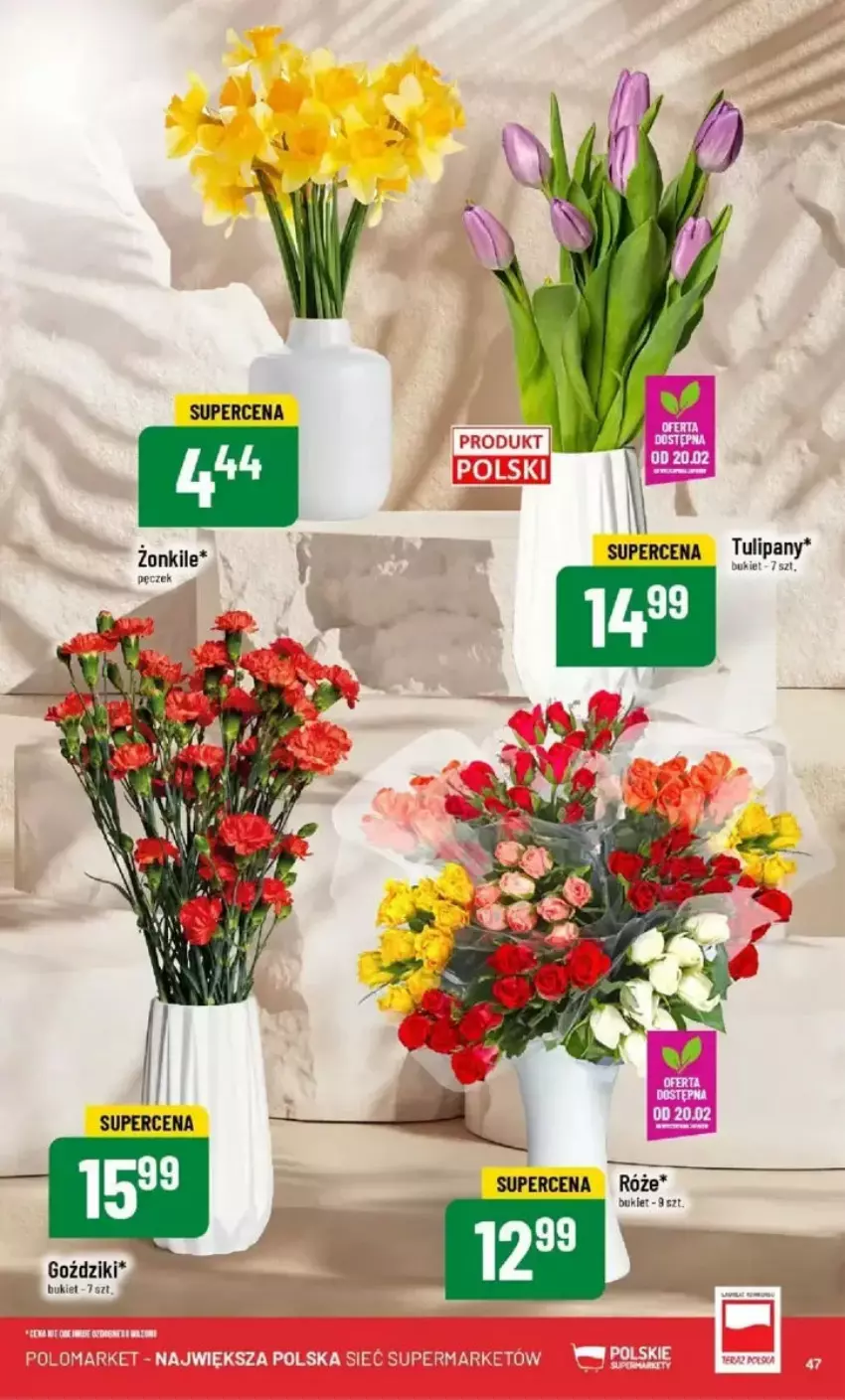 Gazetka promocyjna PoloMarket - ważna 19.02 do 25.02.2025 - strona 42 - produkty: Tulipan