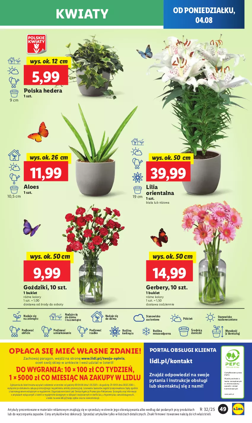 Gazetka promocyjna Lidl - GAZETKA - ważna 04.08 do 06.08.2025 - strona 57 - produkty: Bukiet, Cień, Gerber, Gra, Laur, Mola, O nas, Por, Portal, Sok