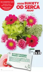 Gazetka promocyjna Kaufland - Gazetka tygodnia - Gazetka - ważna od 20.09 do 20.09.2023 - strona 42 - produkty: Ser, Bukiet, Fa
