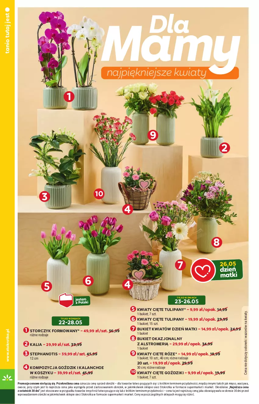 Gazetka promocyjna Stokrotka - Market - ważna 22.05 do 28.05.2025 - strona 16 - produkty: Bukiet, Kalanchoe, Kosz, Kwiaty cięte, Mięso, Owoce, Róze, Storczyk, Tulipan, Warzywa, Wazon